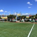 광석초등학교 이미지