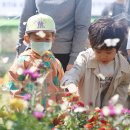 미스터돈 이미지