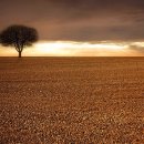 청라면사무소 이미지