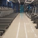 플로리다 피트니스 이미지