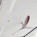 대우이안더클래식 이미지