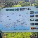 대왕수천 | 🌸 제주 서귀포 벚꽃 명소 대왕수천예래생태공원 방문 후기 | 산책코스 추천 인생샷 스팟