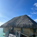 오렌지성형외과의원 이미지