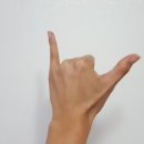 샤카 (SHAKA)