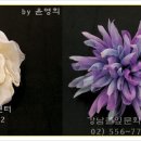 윤영희헤어아트 Daum카페