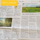 (사)제주어보전회 이미지