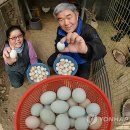 누룩재마을 이미지