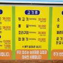 홍가네부속