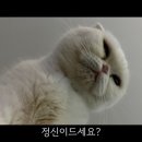 윤메디칼 이미지