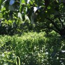 인선농장 이미지