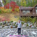 강씨봉자연휴양림 이미지