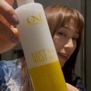미스트원 네이버블로그