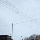 외1리마을회관 이미지