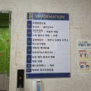 인천 삼산동 철판주꾸미 맛집, 쭈야쭈 삼산본점 추천 강추