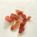 Jolly냥 네이버블로그