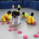 한국체대 천마태권도 이미지