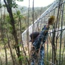 곤이농장 이미지