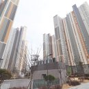 동일114공인중개사사무소 이미지