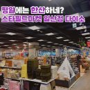 다이소일산 | 스타필드마켓 일산점 다이소, 평일에 구경하기 좋았던 후기