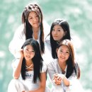 핑클 이미지