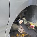 갈마(금호) 이미지