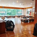 하계생오리 이미지