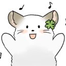 해든커피