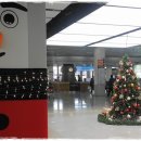 보배식당 이미지