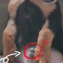 성지동물병원 이미지