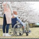 수원-0543 이미지