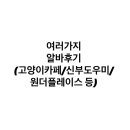 쎈PC방매점 | 여러가지 알바 후기(롯데시네마, 신부도우미, 고양이카페, 원더플레이스, 개인카페)