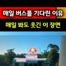 하냥