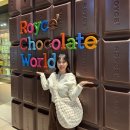 초콜릿월드 이미지