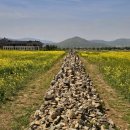 분황사주차장 이미지