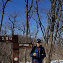 왕산골숲속 이미지