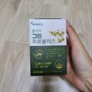 홀리브 | 그린프로폴리스 면역력에 좋은 홀리브 그린프로폴리스 후기