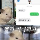 머꼬요 이미지