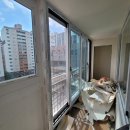 국제백양 이미지