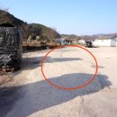 술이홀로(1) 이미지