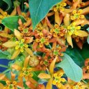 동산9세천 이미지