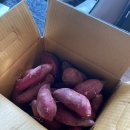 짱빨라PC방 이미지