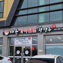 다온가야밀면