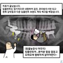 올바른홍치과의원 네이버블로그