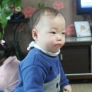 시온커튼 이미지