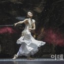 나비,날아오르다 이미지