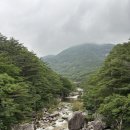 삼화사 - 성남시 수정구 | 삼화사