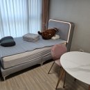 아마존모텔 | 원룸, 오피스텔, 모텔 등 업소용 매트리스 고르는 법!