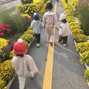 유락횟집 | 2025년 아기랑 해남미남축제 행사일정 및 놀이터(에어바운스) 먹거리존 방문후기