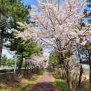 동천서로 이미지