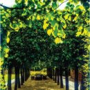 스카이랜드부동산중개법인 이미지